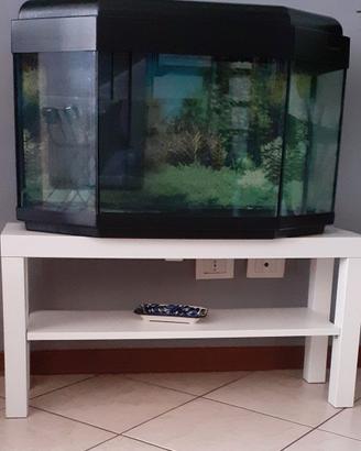 Acquario