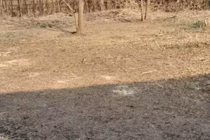 Terreno Mondragone "DOMIZIANA"