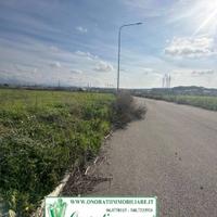 MQ 8161 SANTA PALOMBA (RM) FRONTE STRADA RIF.TP-23