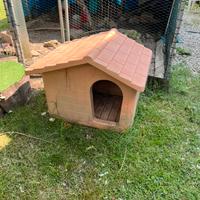 Casetta per cani