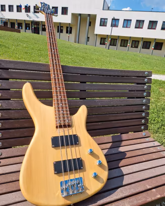 basso elettrico handmade