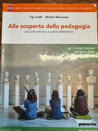 ALLA SCOPERTA  DELLA PEDAGOGIA Cod. 9788839519245
