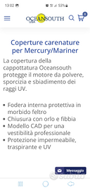 Coprimotore Oceansouth Mercury 150 hp