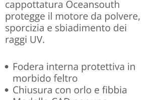 Coprimotore Oceansouth Mercury 150 hp