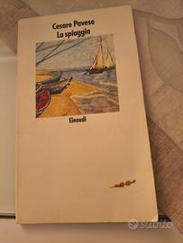 Libro di narrativa La spiaggia 