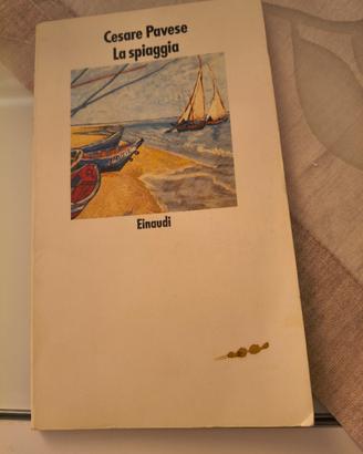 Libro di narrativa La spiaggia 