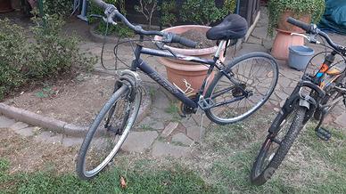 regalasi bici uomo + mtb ragazzino 10-14 anni