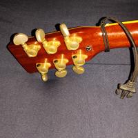 Chitarra acustica amplificata CORT