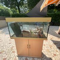 Acquario 150-200 litri