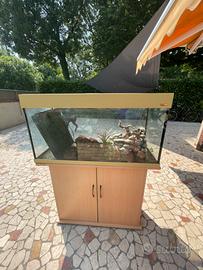 Acquario 150-200 litri