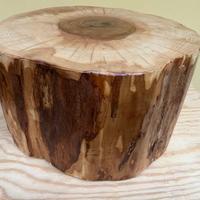 Tronchi (ceppi) portavasi e complementi di arredo;