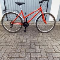 bicicletta mtb