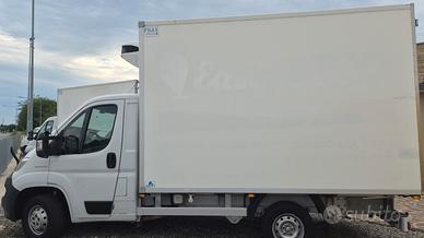 FIAT DUCATO FRIGO 2019