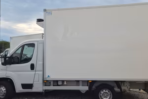 FIAT DUCATO FRIGO 2019