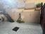 Immagine 16