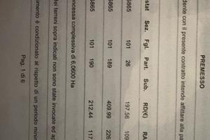 Terreno agricolo 7h - migliara 50 - Pontinia