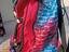 Immagine 4