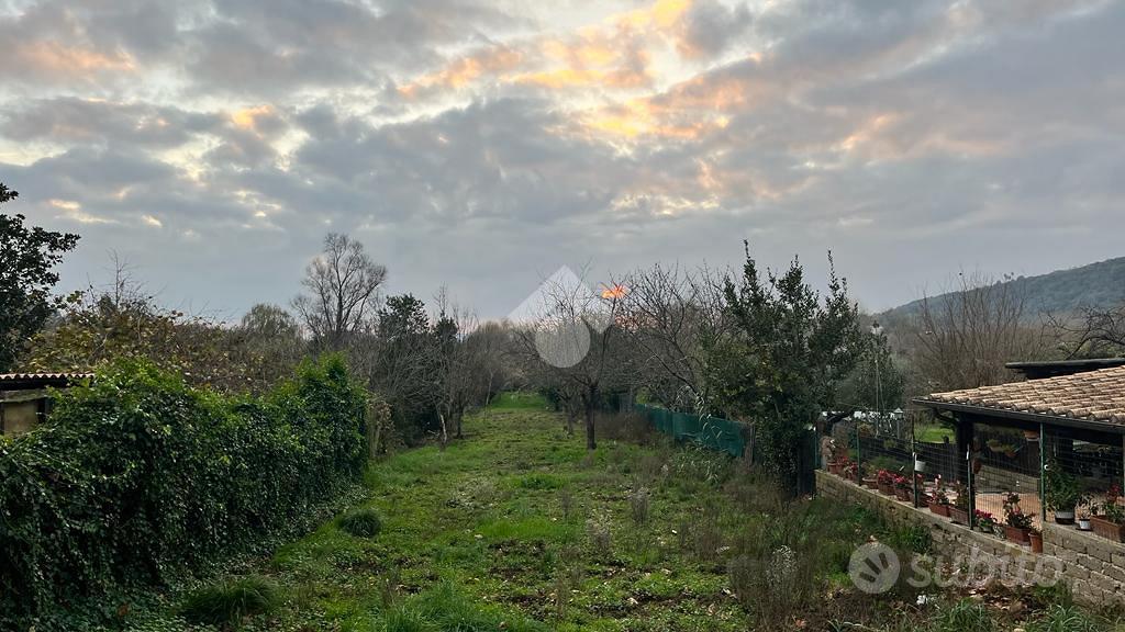 TER. AGRICOLO A TREVIGNANO ROMANO - Vista 3