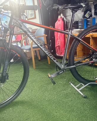 Megamo natural mtb front