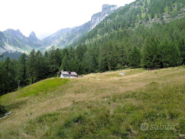 Baita/Chalet/Trullo Varzo [OsiSol1023VRG]