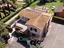 Immagine 26
