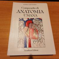 CATTANEO COMPENDIO DI ANATOMIA UMANA 