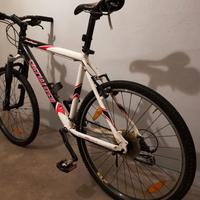 Mountain bike Rockhopper Specialized