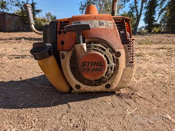 Decespugliatore Stihl FS 250 con 2 testine nuove