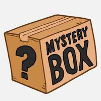 Mistery box  di libri vari