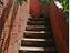 Immagine 7