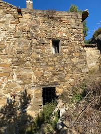 Cilento : casa da ristrutturare piu terreno