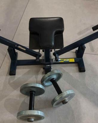 Manubri palestra e pettorali