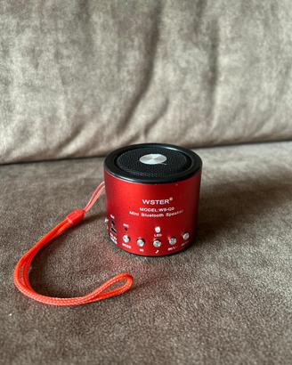 Cassa Bluetooth/wster