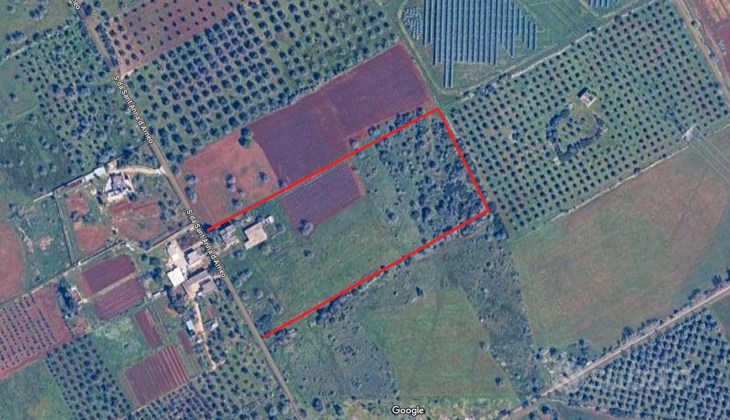 Vendita di rustico e casale in Arneo Nardò - Vista 6