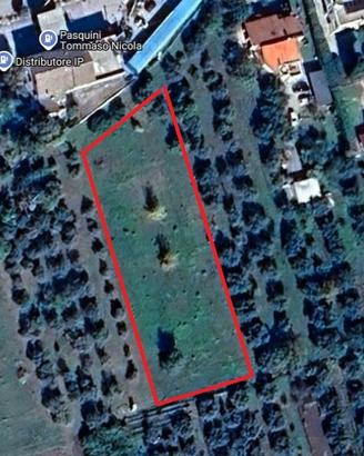 Terreno di 2520mq di cui 470mq edificabile