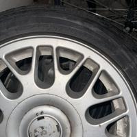 Gomme estive Kormoran