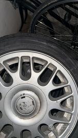 Gomme estive Kormoran