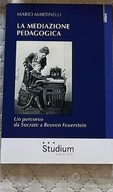 La mediazione pedagogica