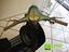 Immagine 6