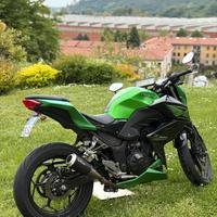 Kawasaki Z300 ABS 2016