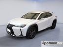 lexus-ux-hybrid-executive