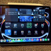 Apple iPad Pro 11” Wifi+Cellular (5g) 256GB silver