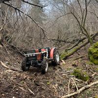 Terreno con bosco e case
