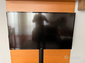Tv LG 49 pollici