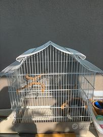 Piccola gabbia per uccelli
