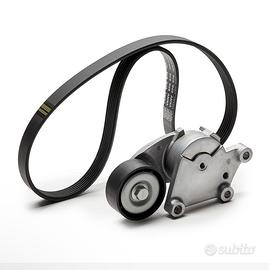 Kit Cinghi servizi Ford Fiesta 1.4 tdci