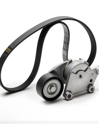 Kit Cinghi servizi Ford Fiesta 1.4 tdci