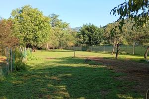 casa unifamiliare indipendente con terreno 