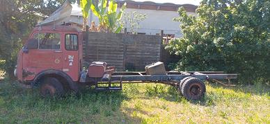 camion lupetto