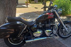 Triumph America
